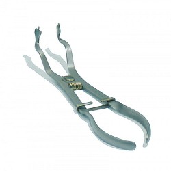 Cleste Cleme Diga Hygenic