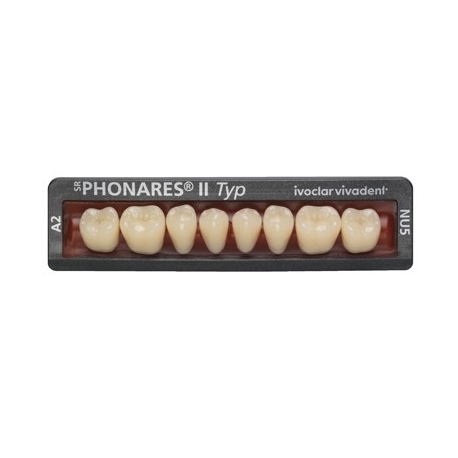Dinti Phonares Nhc Typ Posterior Nl3 A2 Ivoclar
