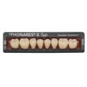 Dinti Phonares Nhc Typ Posterior Nl3 A2 Ivoclar