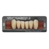 Dinti Phonares Nhc Anterior L51 A2 Ivoclar