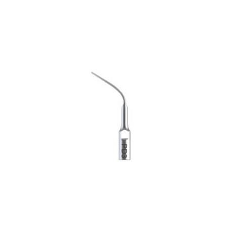 Ansa parodontala PD3 DTE