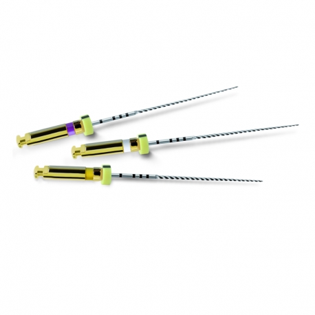 Ace PathFile 25mm Dentsply