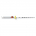 Ace ProFile.04 RA 18mm Dentsply