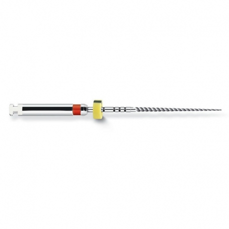 Ace ProFile.04 RA 31mm Dentsply