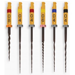 Ace rotative HyFlex CM NiTi file Sequence 21mm Coltene Whaledent