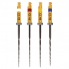 Ace rotative HyFlex CM NiTi .04 21mm Coltene Whaledent