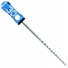 Ace H-files 21mm Dentsply