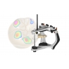 Modul exocad Virtual Articulator exocad