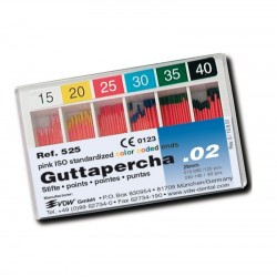 Conuri Gutaperca.02 VDW