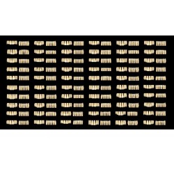 Modul exocad Tooth Library