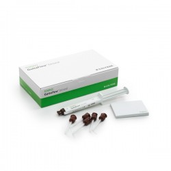 GuttaFlow BIOSEAL set standard ROEKO