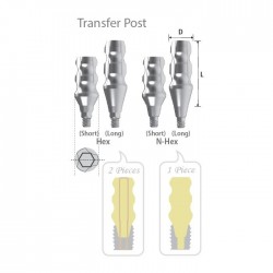 BONT AMPRENTA Transfer D4.5 L11