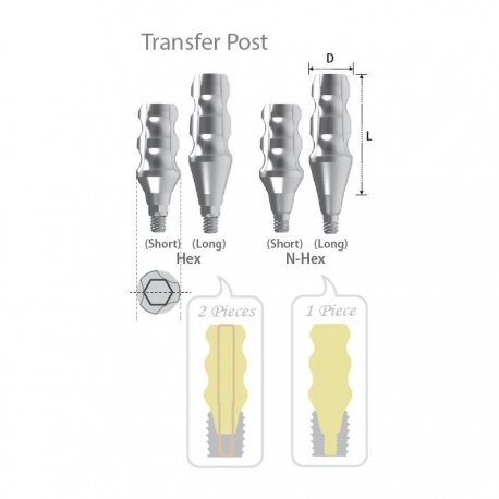 BONT AMPRENTA Transfer D5.5 L11