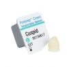 Protemp Crown Canin Large (5buc)