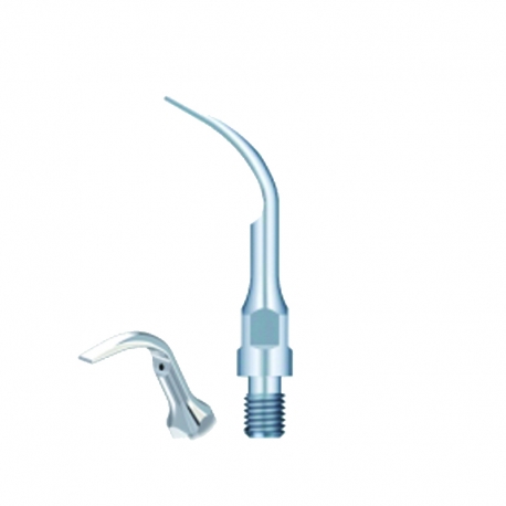 Ansa detartraj woopecker GS2