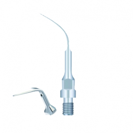 Ansa detartraj woopecker GS4