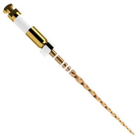 WAVE GOLD LARGE 25mm 3 ACE Dentsply