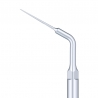 Ansa detartraj endo E7 Woodpecker 