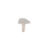 SeptoMatrix Cervical Transparent Medium 50 matrici Septodont
