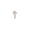 SeptoMatrix Cervical Transparent Small 50 matrici