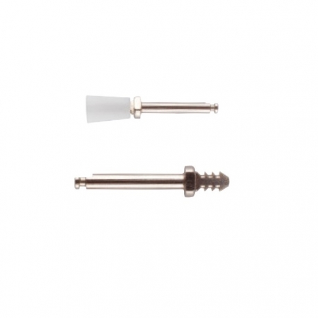 SeptoPolisher Refill Cupa 8buc+1 mandrina 
