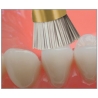 Freze TopBrush SIC  1500 RA-5