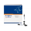 Grandio Seal Seringi 2x2g Voco