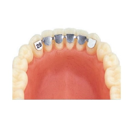 Retainer inferior de la canin la canin 31mm 2buc