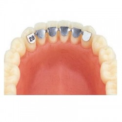Retainer inferior de la canin la canin 33mm 2buc