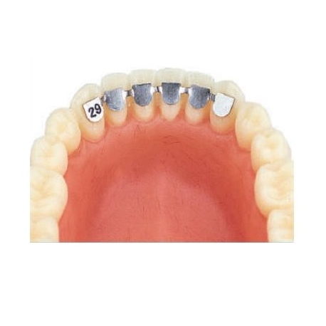 Retainer inferior de la canin la canin kit asortat 10 bucati Leone