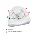 Surub multifunctional Veltri cu 4 brate dreapta 1 bucata Leone
