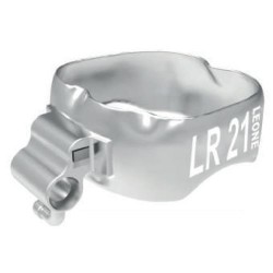 INELE MOLAR  W/G8025-03 LR 01