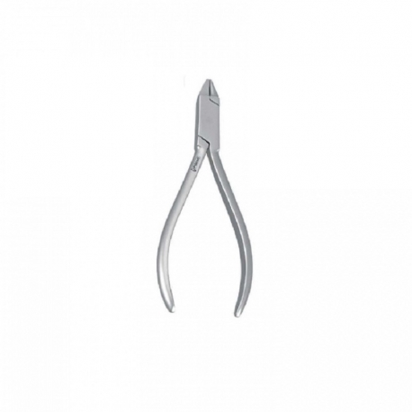  Cleste Bird Beak Falcon