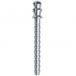 Pivoti titan ParaPost XH Titanium Posts 10 bucati Coltene