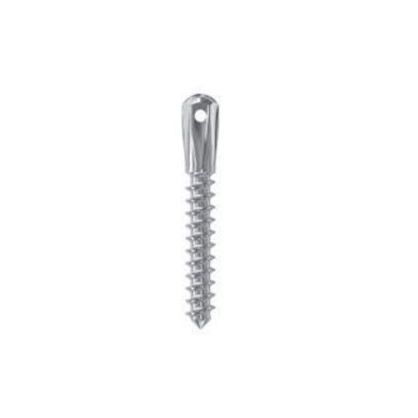 MINI IMPLANT SELFTAPP D 2 L10 HIGH HEAD LEONE