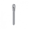 MINI IMPLANT SELFTAPP D 2 L12 HIGH HEAD LEONE