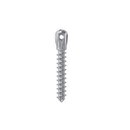 MINI IMPLANT SELFTAPP D 2 L10 LOW HEAD LEONE