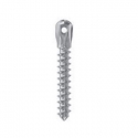 MINI IMPLANT SELFTAPP D 2 L12 LOW HEAD LEONE