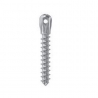MINI IMPLANT SELFTAPP D 2 L12 LOW HEAD LEONE