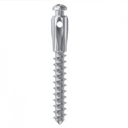 MINI ORTHO IMPLANT W/GR HIGH D2 L10mm