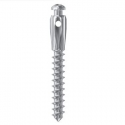 MINI ORTHO IMPLANT W/GR HIGH D2 L10mm