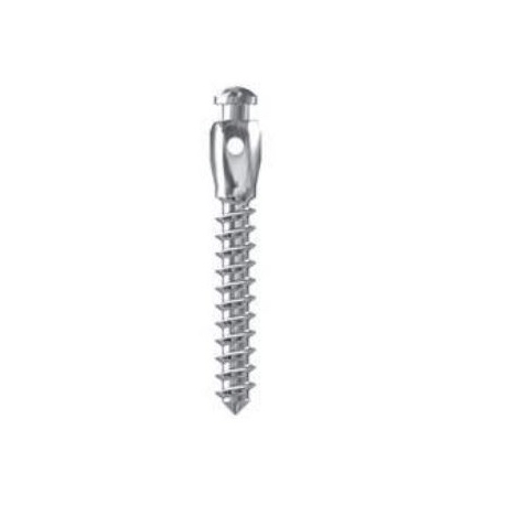 IMPLANT MINI D2 L10