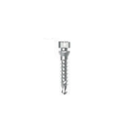 MINI IMPLANT  D1 75 L8