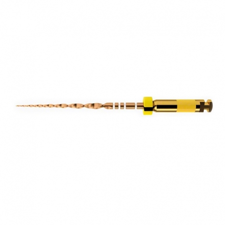 WAVE GOLD SMALL 31mm 3 ACE Dentsply