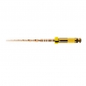 WAVE GOLD SMALL 31mm 3 ACE Dentsply