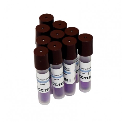 Indicator biologic sterilizare abur autoclav 24 ore 4A Medical