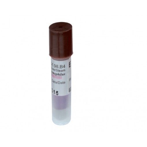 Indicator biologic sterilizare abur autoclav 24 ore ECS Italy