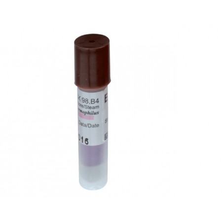 Indicator biologic sterilizare abur autoclav 24 ore ECS Italy