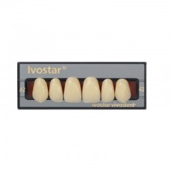 Dinti Ivostar C1 Ivoclar