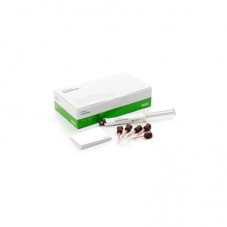 Guttaflow 2 Standard Set fara argint